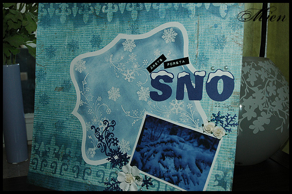 &Aring;rets f&ouml;rsta sn&ouml;