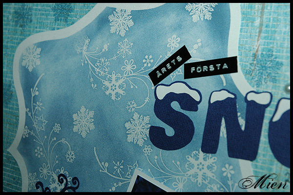 &Aring;rets f&ouml;rsta sn&ouml; Detalj