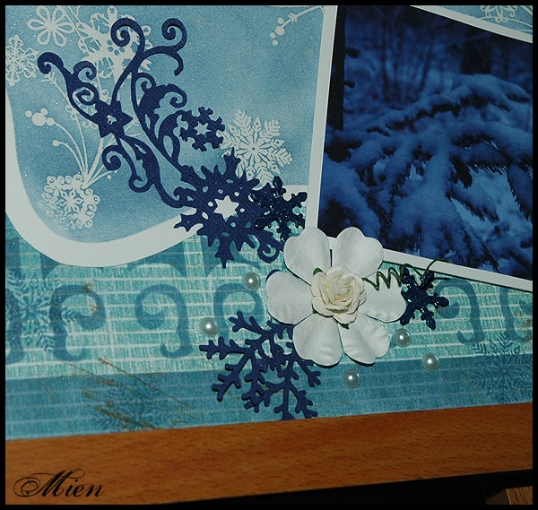 &Aring;rets f&ouml;rsta sn&ouml; Detalj