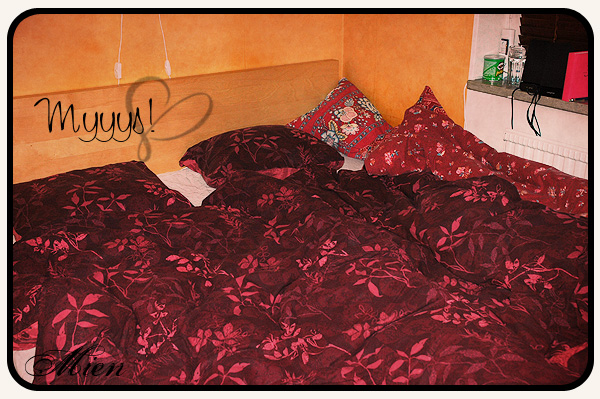 Den renb&auml;ddade mysiga s&auml;ngen